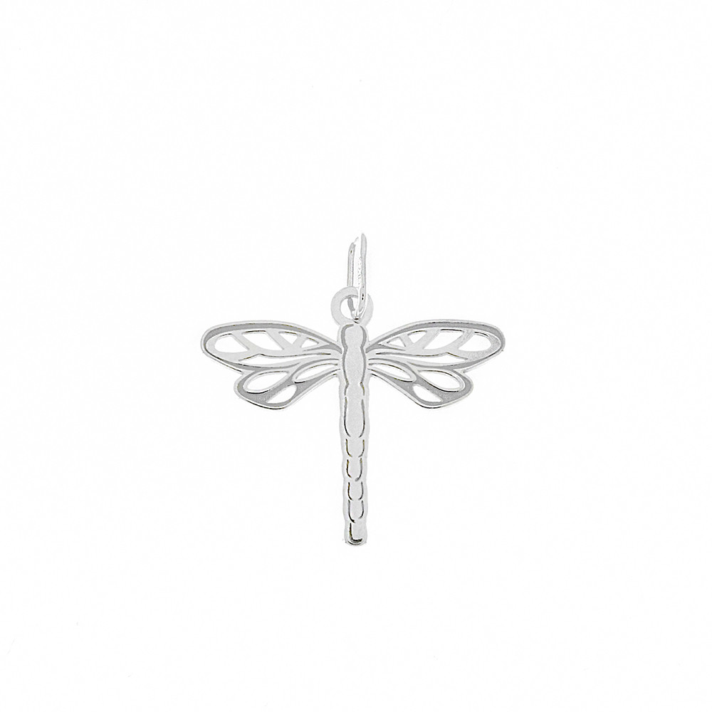 Stříbrný přívěsek PA0777