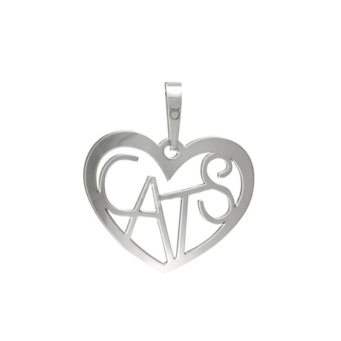 Stříbrný střední přívěšek PA1495 srdíčko