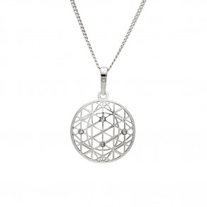 Stříbrný přívěsek na řetízku KO1594_CU040_50