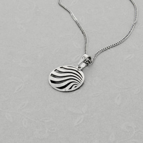 Stříbrný přívěsek na řetízku Shield