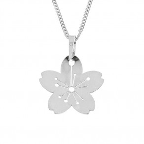 Stříbrný přívěsek na stříbrném řetízku KO5046_CU040_45