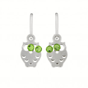 Stříbrné náušnice NA0763