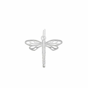 Stříbrný přívěsek PA0777