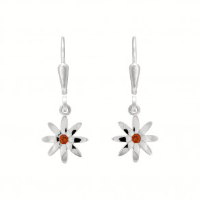 Dětské stříbrné náušnice Sasanka 